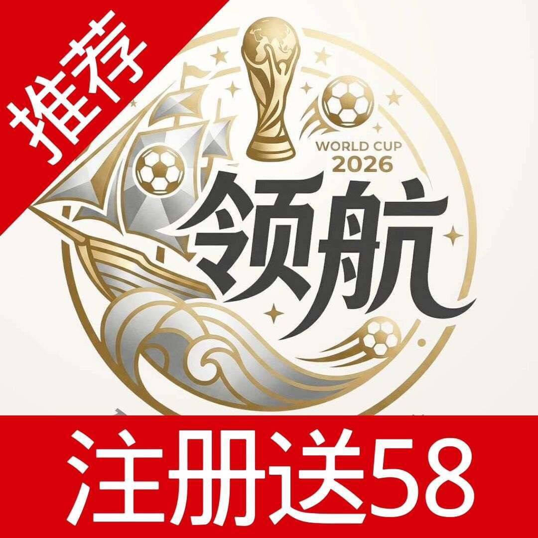领航国际