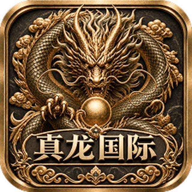 真龙国际